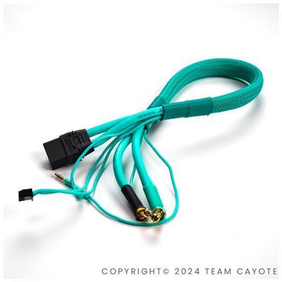 CAYOTE 2-Force X5 Charger with 2 XT90 Leads - UK
