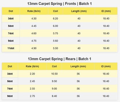 AVID 13MM PRECISION CARPET SPRINGS – REAR