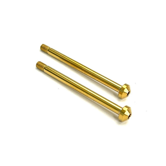 R1 WURKS – TITANIUM NITRIDE COATED REAR OUTER HINGE PIN SCREWS – PR (AE B6, T6, SC6, B74, B7 OR R1 DC1)